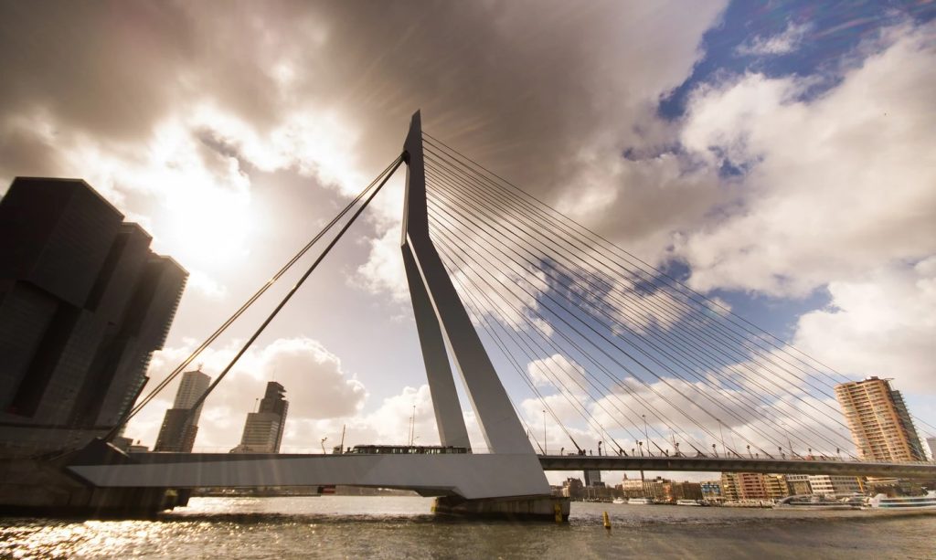 rotterdam festivalleri