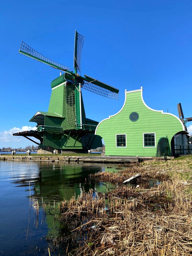 zaandam festivalleri